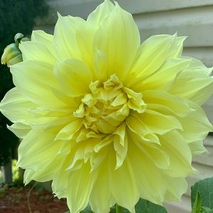 Meet your Posher, Shyann